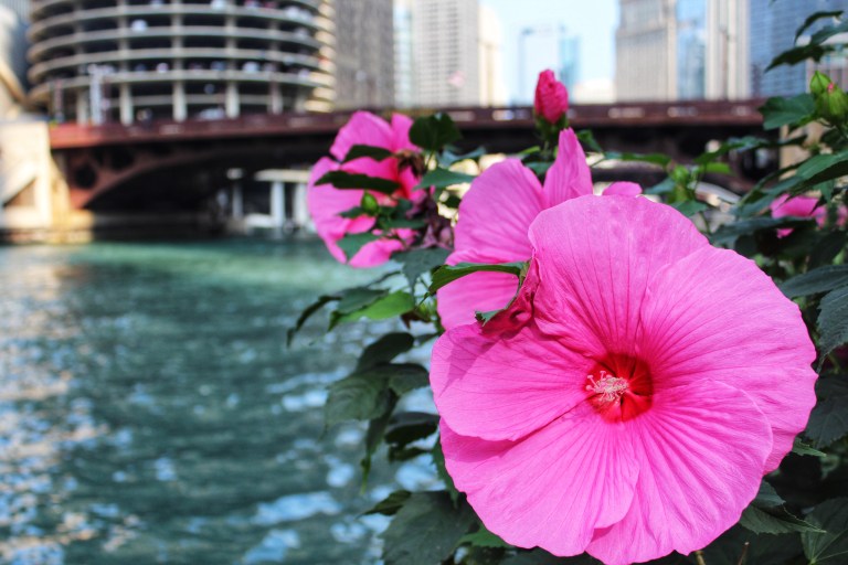 F274EBA6-36A5-4EC4-A94A-232B2B378440